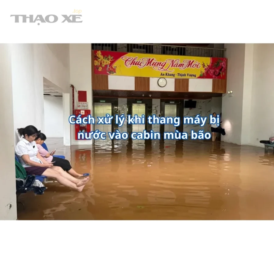 Làm sao biết cabin đã “khô triệt để” và không tái ẩm?