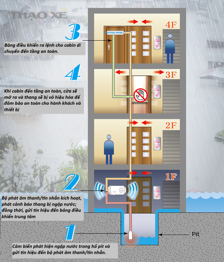 Vì sao nước lọt vào cabin ô tô và cách phòng tránh tái diễn?