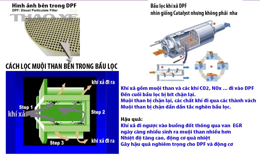 Cấu trúc tổ ong (honeycomb) bên trong bầu xúc tác