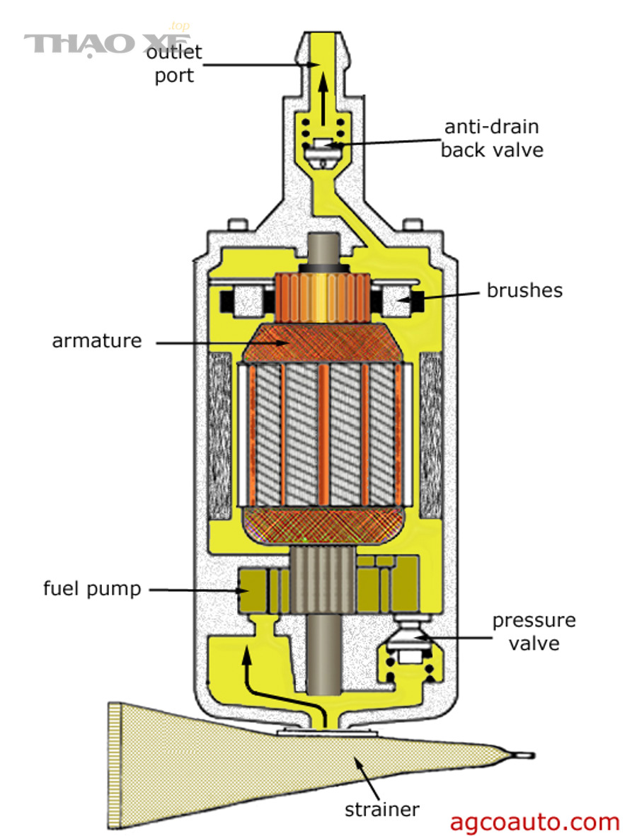 Cấu tạo bơm xăng điện (cutaway) với cửa ra, chổi than, van một chiều và lưới lọc hút