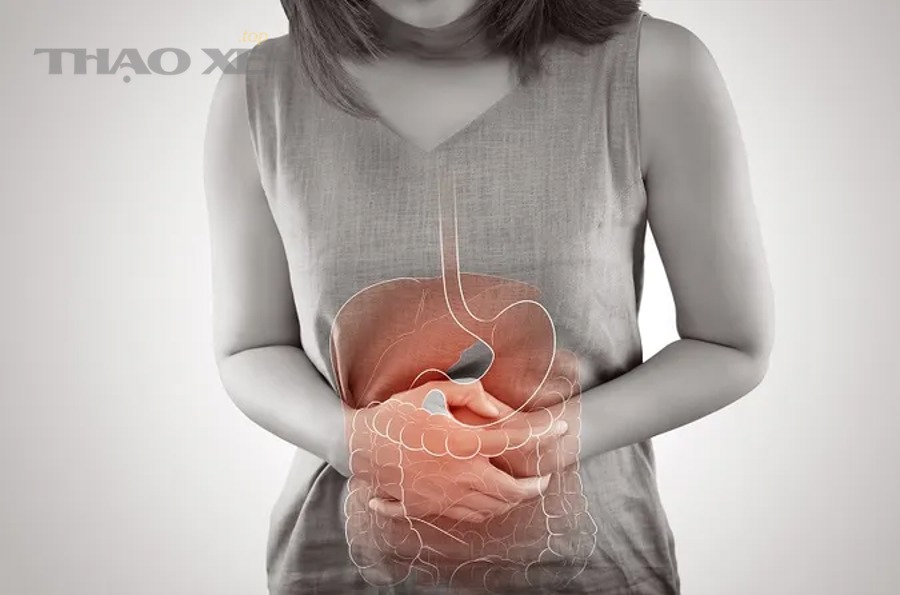 Dẫn chứng (an toàn thị giác – vì sao hệ rửa kính đáng được xử lý sớm)