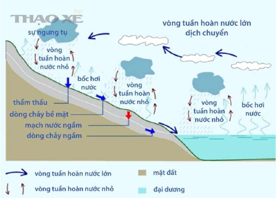 Checklist thao tác tại hiện trường (bản ngắn gọn để lưu trên điện thoại)