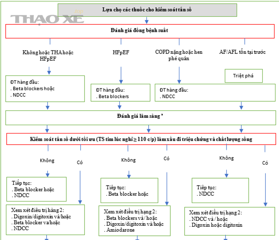 Thiết bị đo rung và màn hình phân tích phổ tần số trong bảo trì dự đoán