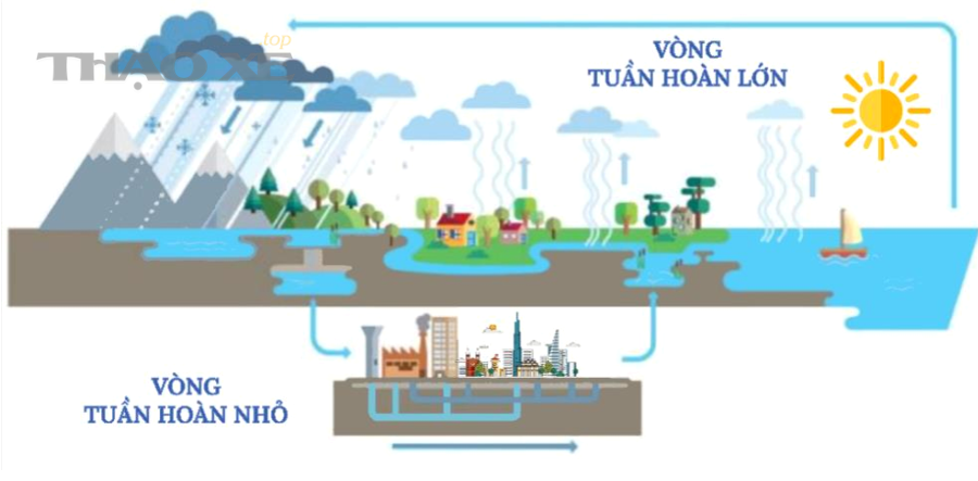 Kết luận thực hành