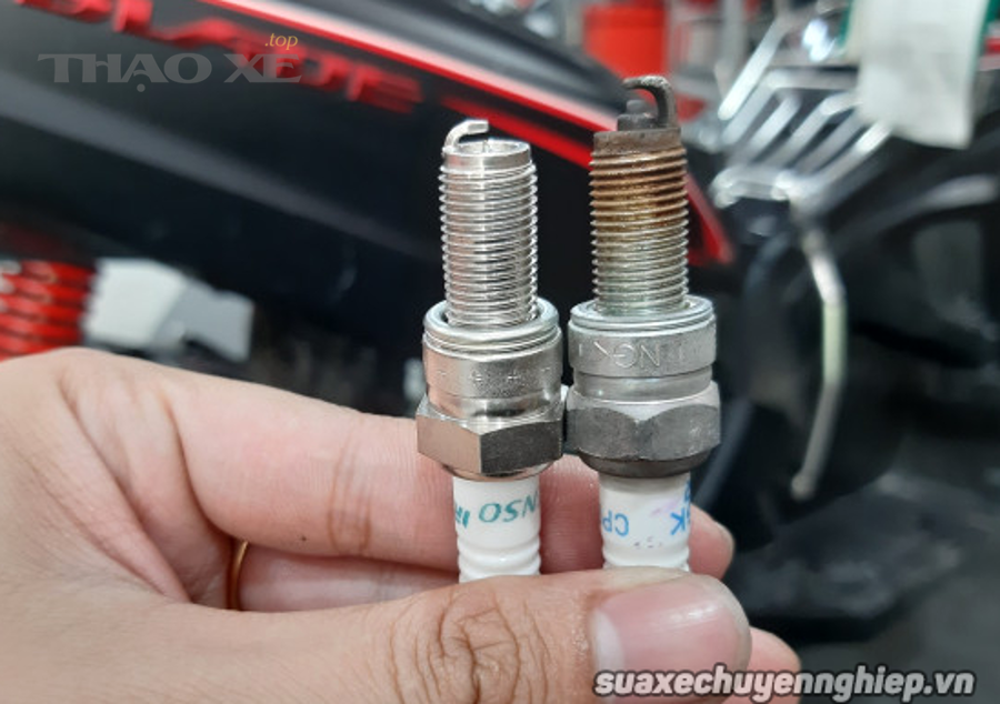 Bugi thường và bugi Iridium: nên chọn loại nào cho người đi xe phổ thông?