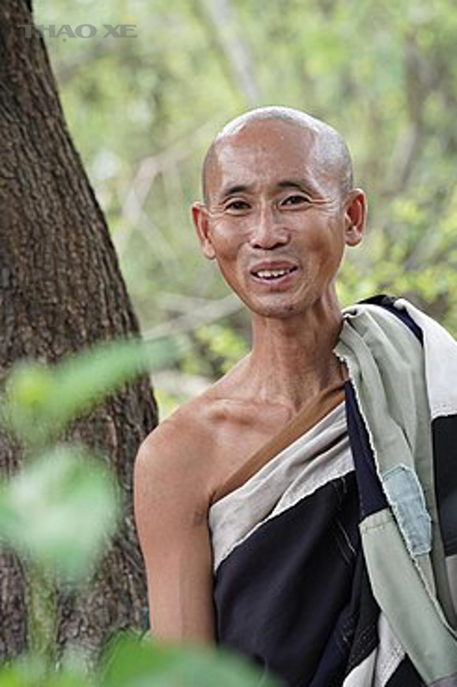 Khi nào nên thay theo bộ để tối ưu an toàn và chi phí?