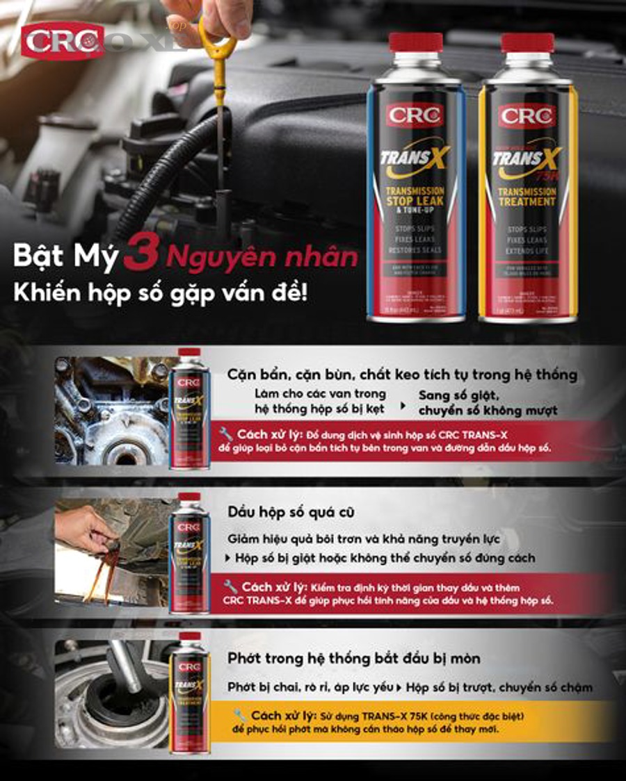 Xe trên cầu nâng để kiểm tra chuyên sâu hệ thống gầm