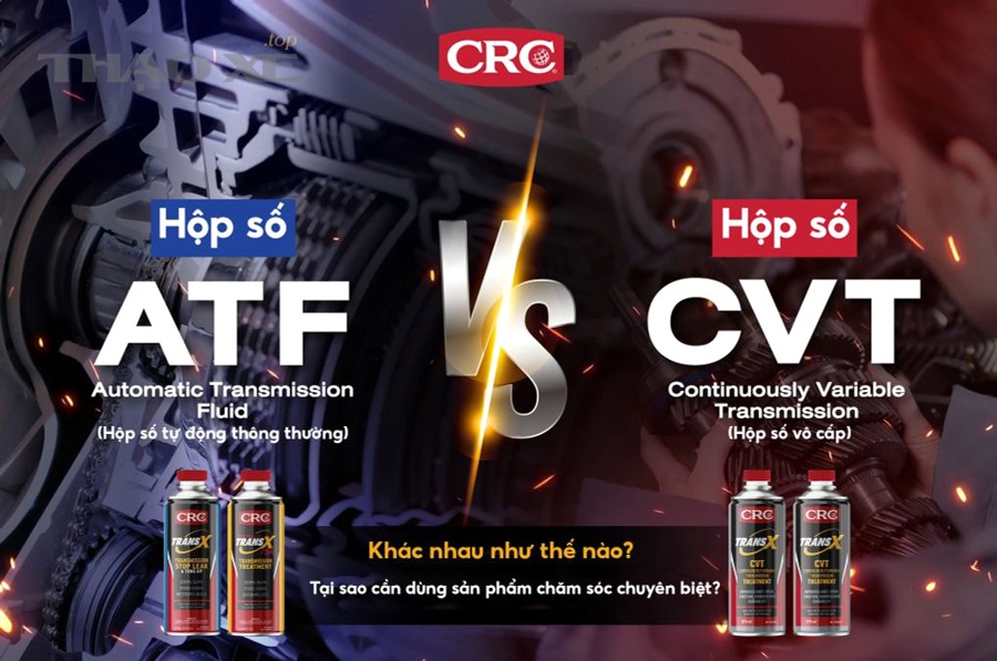Những tình huống dễ đổ nhầm ATF cho CVT/DCT (để chủ xe né)