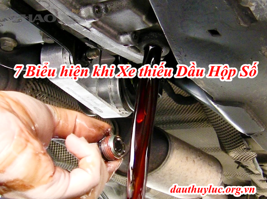 Chủ xe nên làm gì ngay khi nghi ngờ thiếu dầu hộp số?
