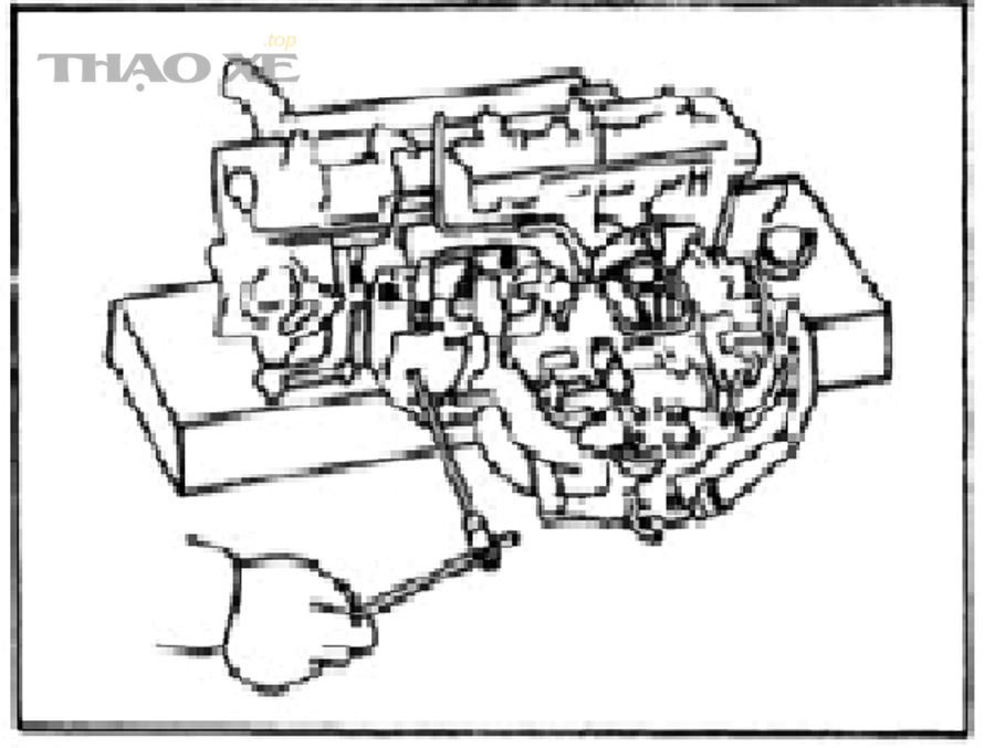 ANH 0 1