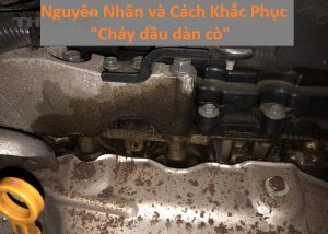 Chay dau dan co