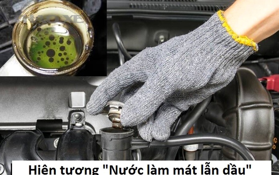 Kiểm tra bình nước làm mát bằng đèn pin khi động cơ đã nguội