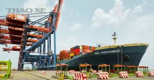 apm terminals pipavav APMterminals Phaata