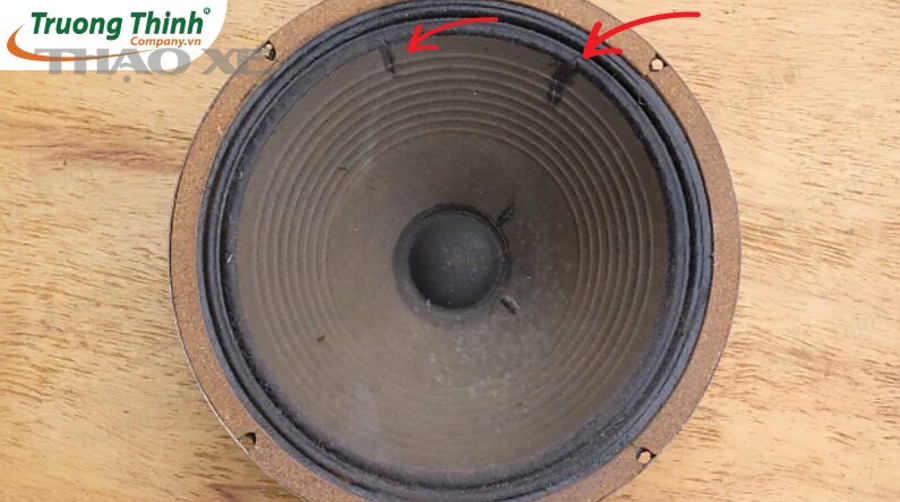 Xử lý loa rè do màng rách là gì và mục tiêu kỹ thuật cần đạt?
