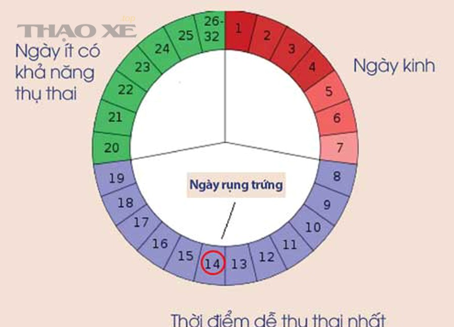 Xe ô tô vận hành ổn định nhờ bảo dưỡng đúng chu kỳ