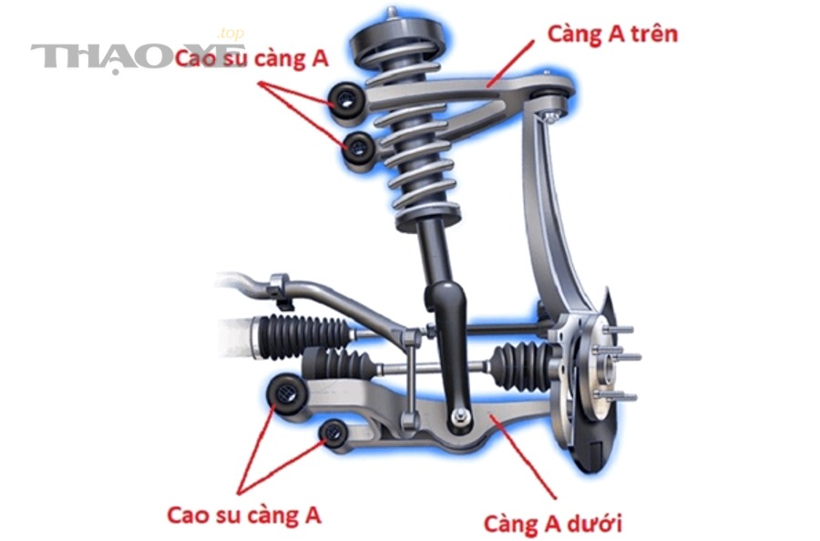Mô tả vị trí càng A trong hệ thống treo ô tô