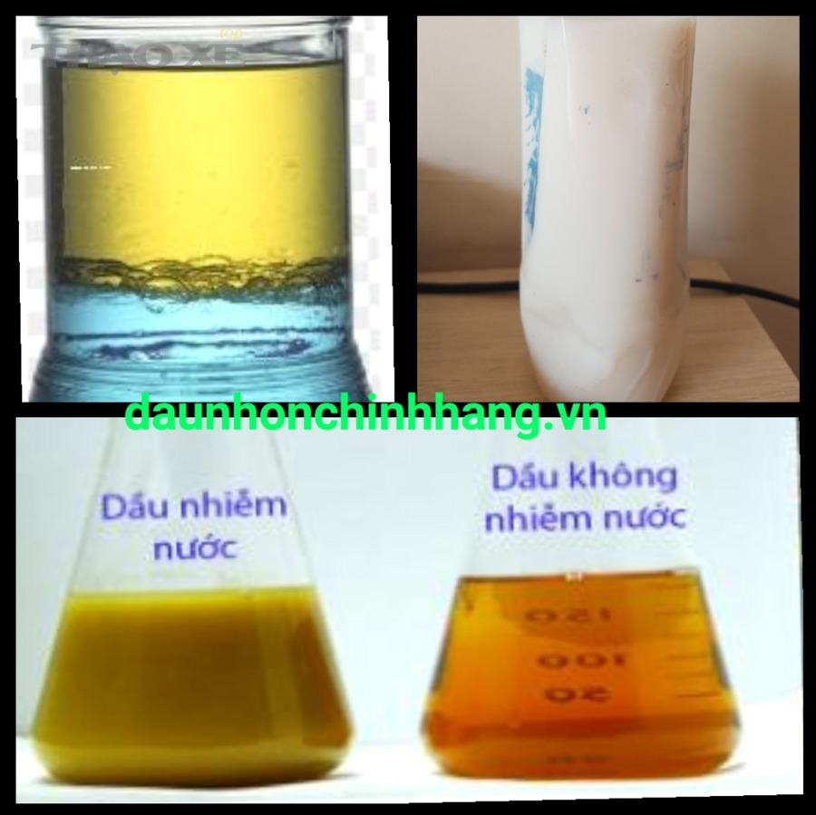 Dẫn chứng tham khảo (chọn lọc trong bài)