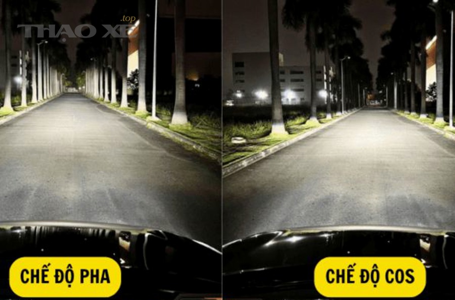 Sơ đồ chùm sáng đèn cốt (low beam) với vùng cắt để tránh chói xe đối diện