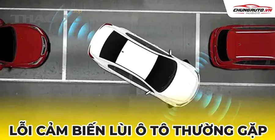 Cách xử lý theo từng dấu hiệu: nên làm gì trước, làm gì sau?