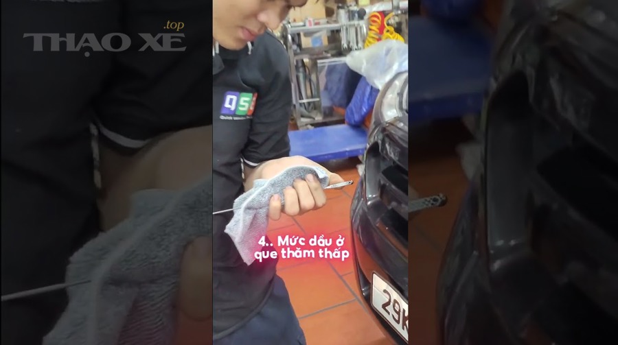Nên bổ sung dầu đúng loại và đúng mức như thế nào?