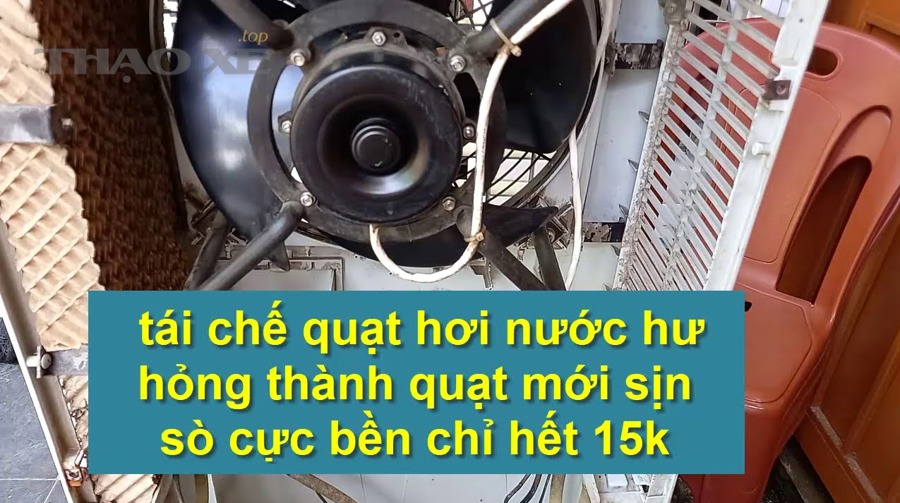 Kết luận thực hành cho chủ xe