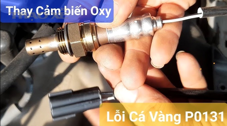 Checklist quyết định vệ sinh hay thay cảm biến oxy cho chủ xe