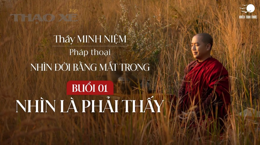 Chi phí, thời gian và mức “đáng tiền” của xả đáy vs tuần hoàn khác nhau ra sao?