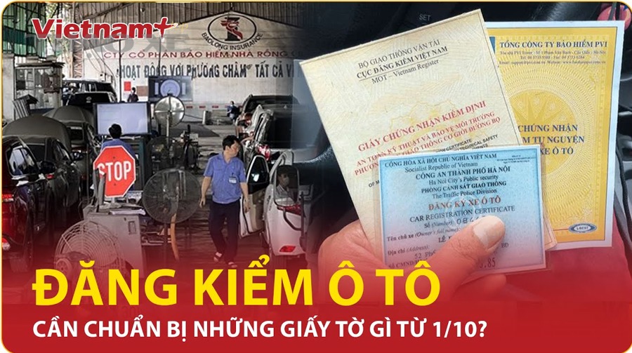 Kinh nghiệm đi đăng kiểm nhanh và hạn chế rủi ro thường gặp?