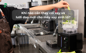 khi nao can thay coi xay va luoi dao moi cho may xay sinh to