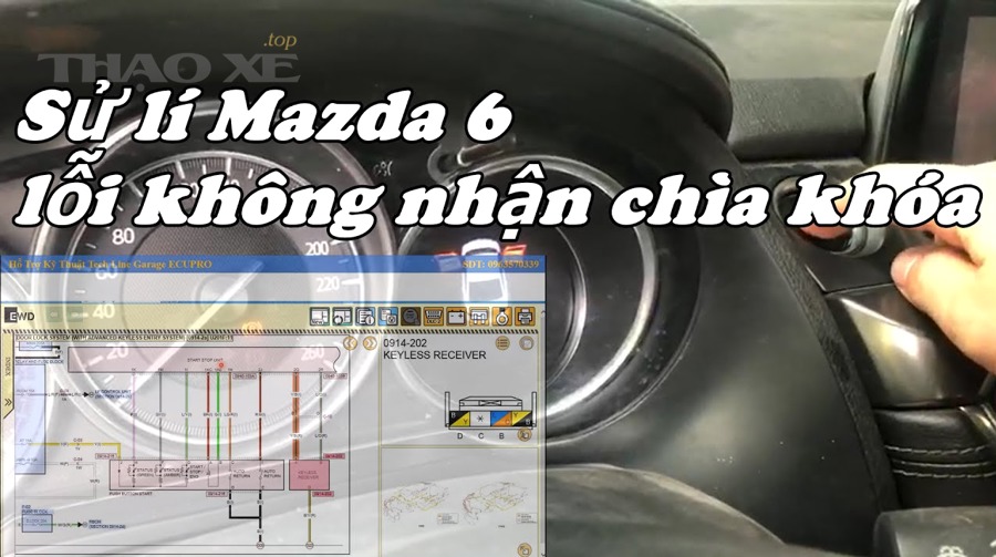 Cách xử lý đúng theo từng nguyên nhân khác nhau như thế nào?