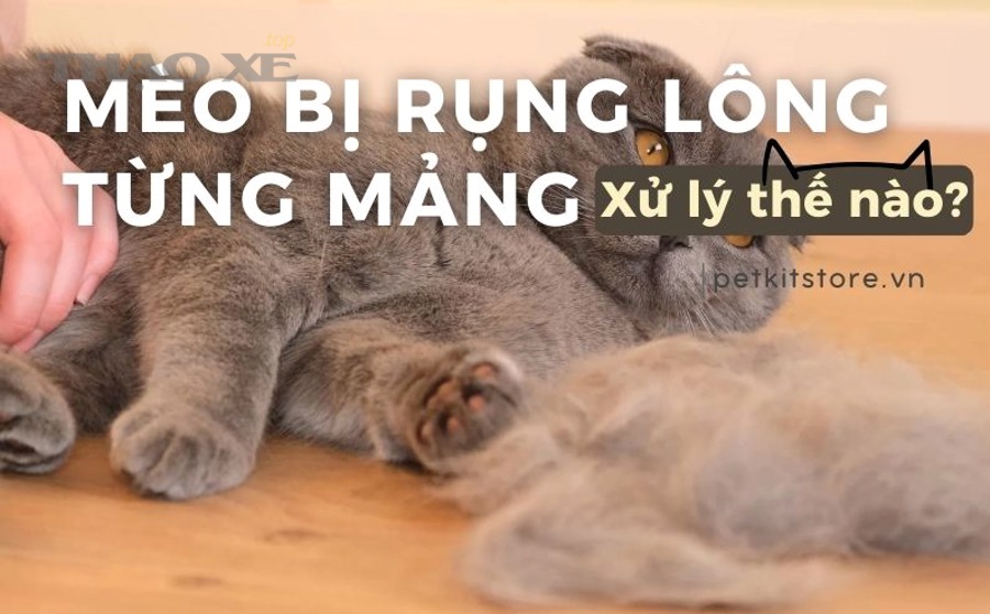 Vì sao đã cân bằng động đúng mà xe vẫn rung nhẹ: do sai số lắp đặt hay do thuộc tính hiếm của lốp?