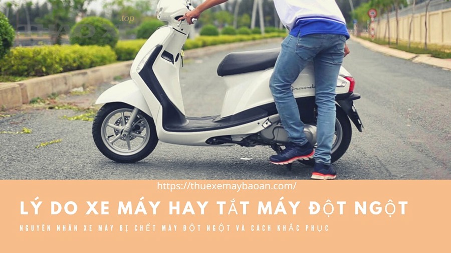 Quy trình chẩn đoán và xử lý an toàn tại chỗ gồm các bước nào?