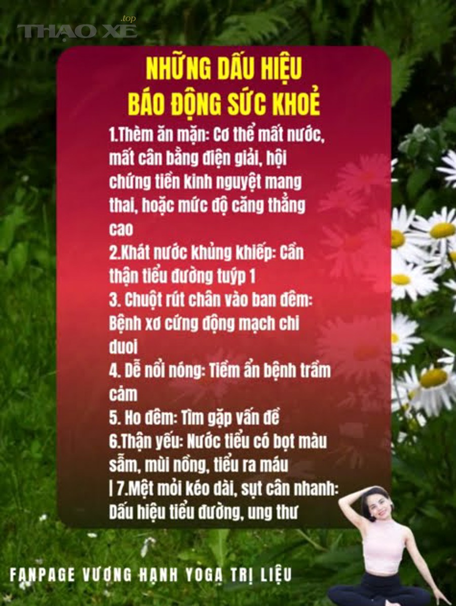 Kiểm tra rung vô lăng theo dải tốc độ