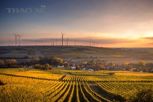 photo 1486754735734 325b5831c3ad 3