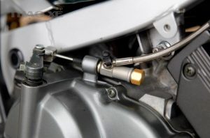 su khac nhau giu con cap va con dau 5500 1601515577 5f7530399a86e