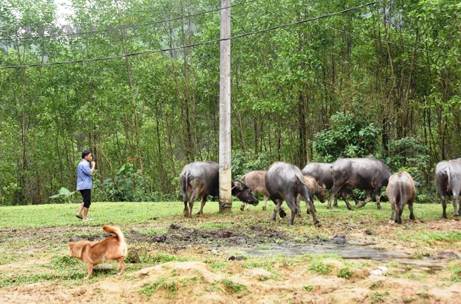 Máy cân bằng động bánh xe trong gara