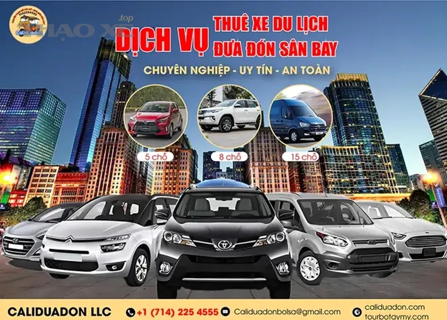 Làm sao giảm nhầm lẫn giữa lỗi phanh và các hiện tượng “giống lỗi phanh” khi mua xe cũ?