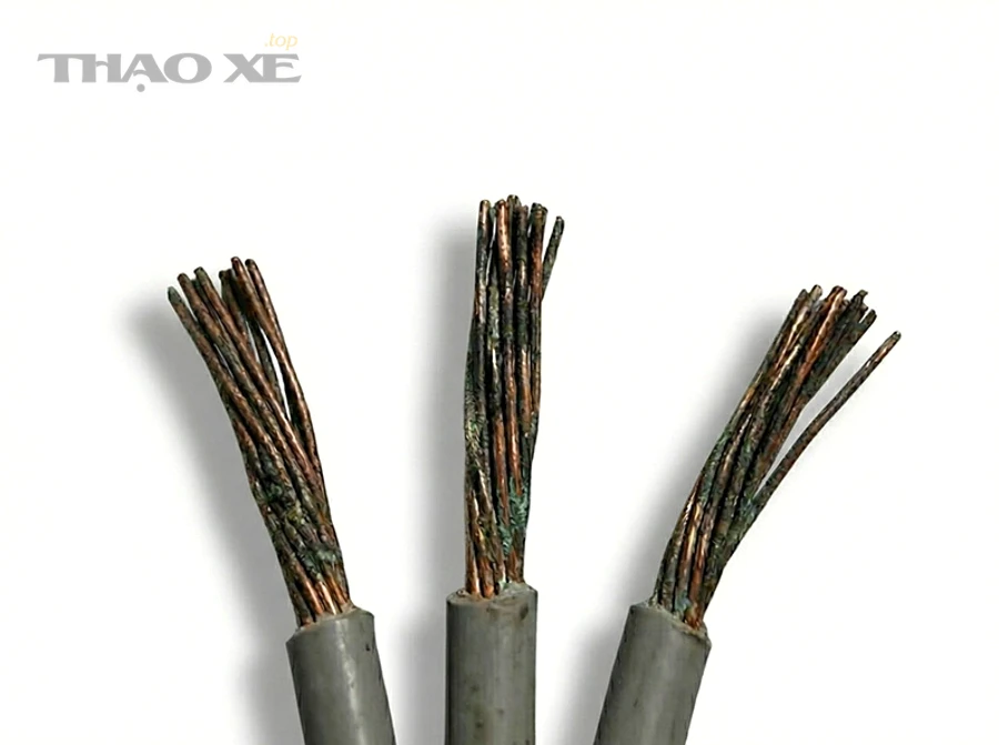 Làm sao phòng ngừa lỗi còi tái phát trong môi trường ẩm, ngập và xe dùng lâu năm?