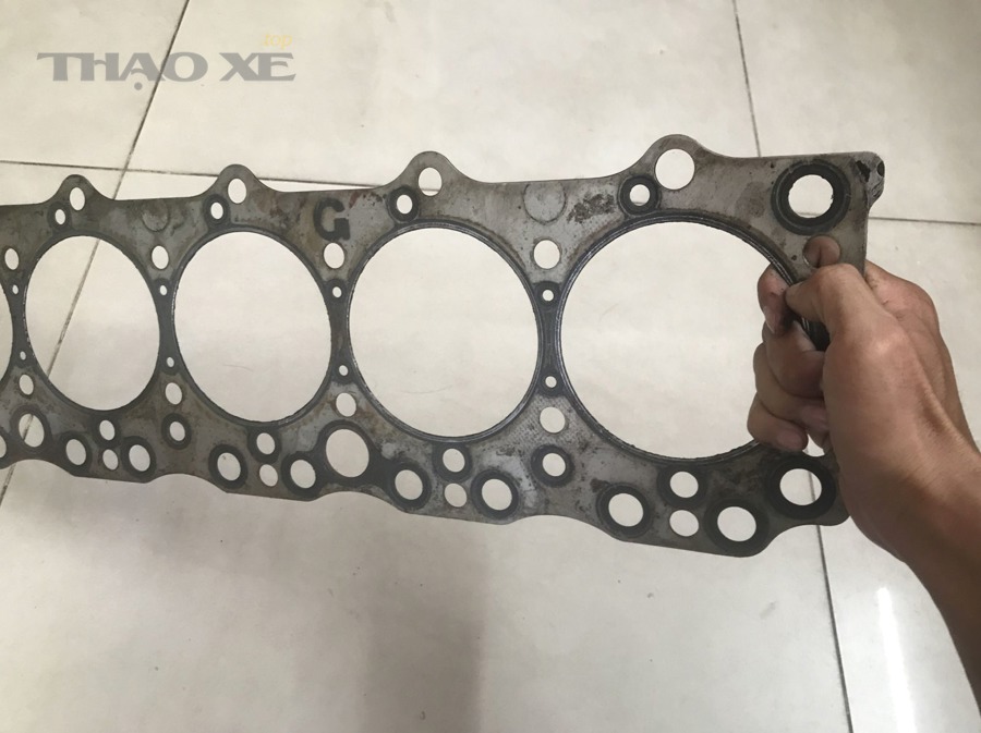 Dấu hiệu theo mùa và điều kiện môi trường (góc nhìn ít được chú ý)
