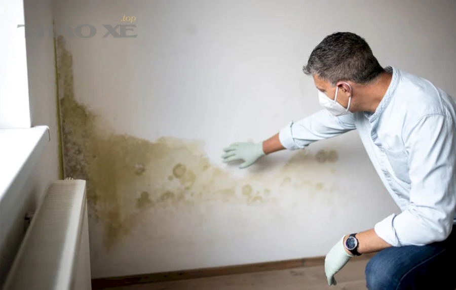 Những vị trí nào khiến nước hoặc hơi ẩm dễ đi vào khu vực taplo ô tô nhất?