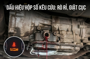 1 e497582d767a46b6ac5c8caca907757c grande