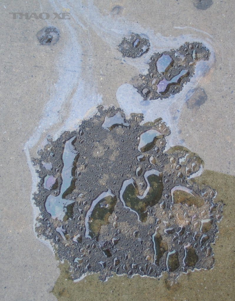 2006 10 24 oil puddle 1