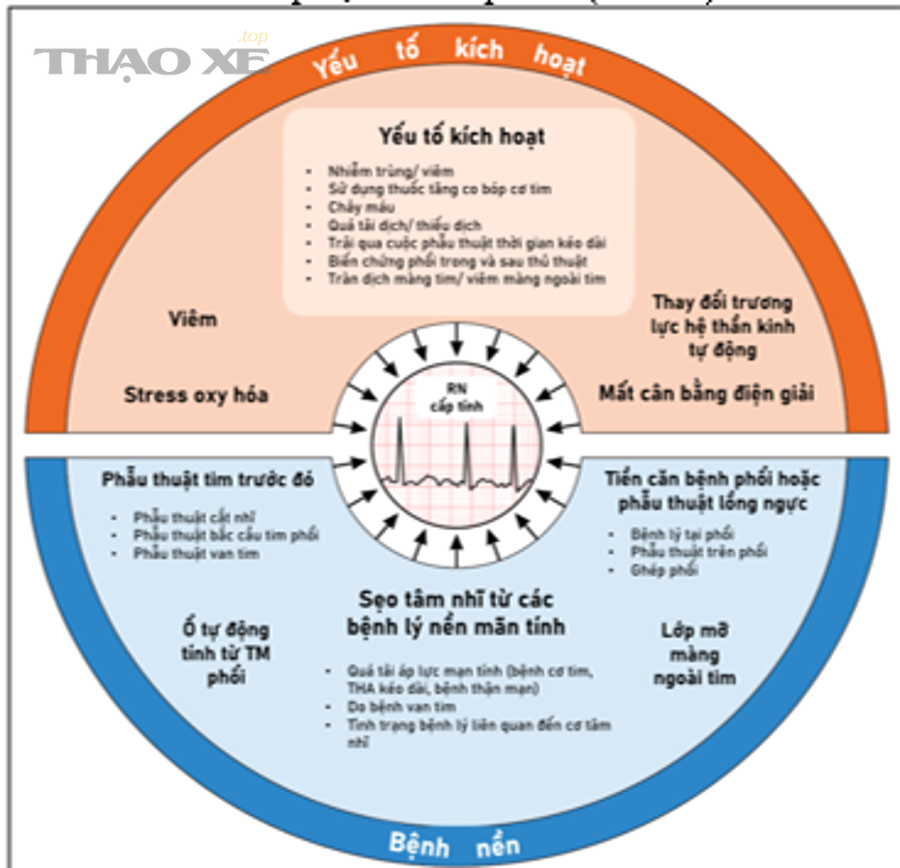 Checklist chẩn đoán nhanh theo cây quyết định (if/then) cho tài xế mới là gì?