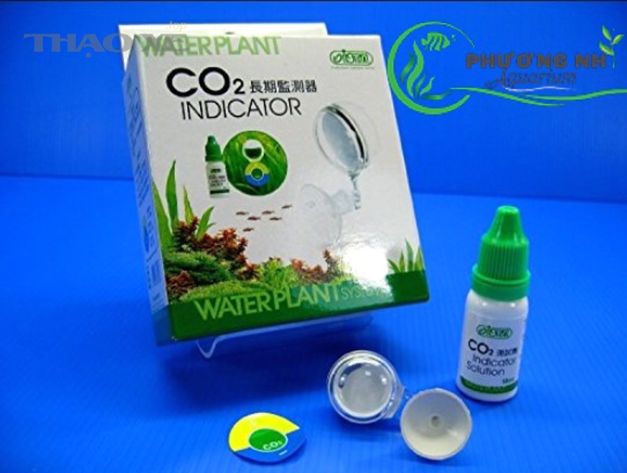 Động cơ ô tô cần được chẩn đoán chính xác trước khi sửa chữa