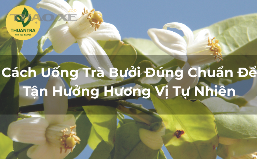 Chủ xe quan sát đoạn đường ngập trước khi quyết định di chuyển