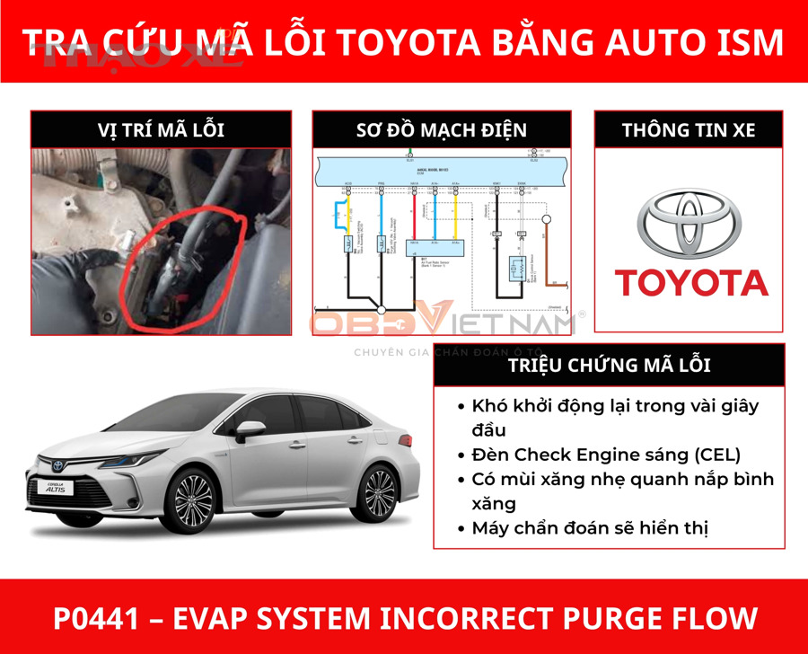 Kỹ thuật viên chẩn đoán hệ thống EVAP trên ô tô