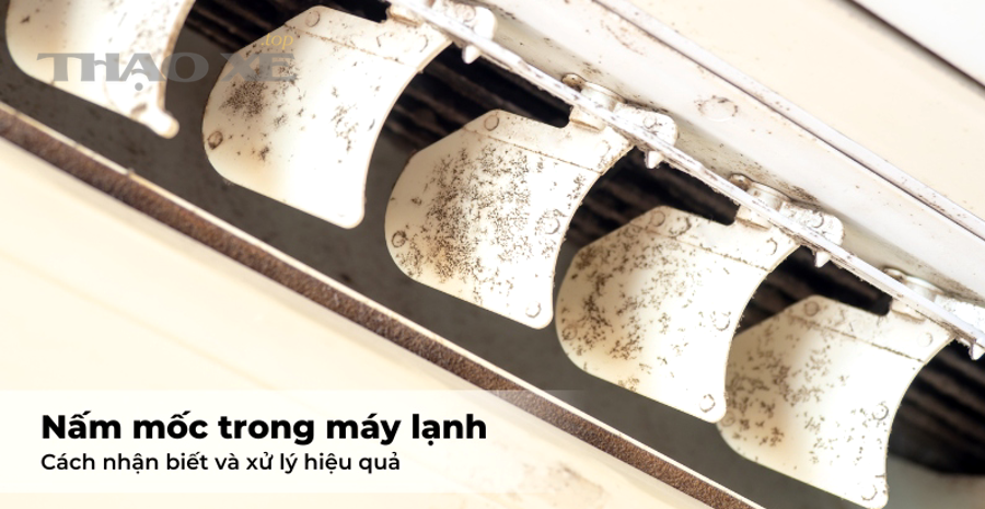 Nguyên nhân nào khiến dàn lạnh điều hòa bị nấm mốc?