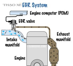 EGR system