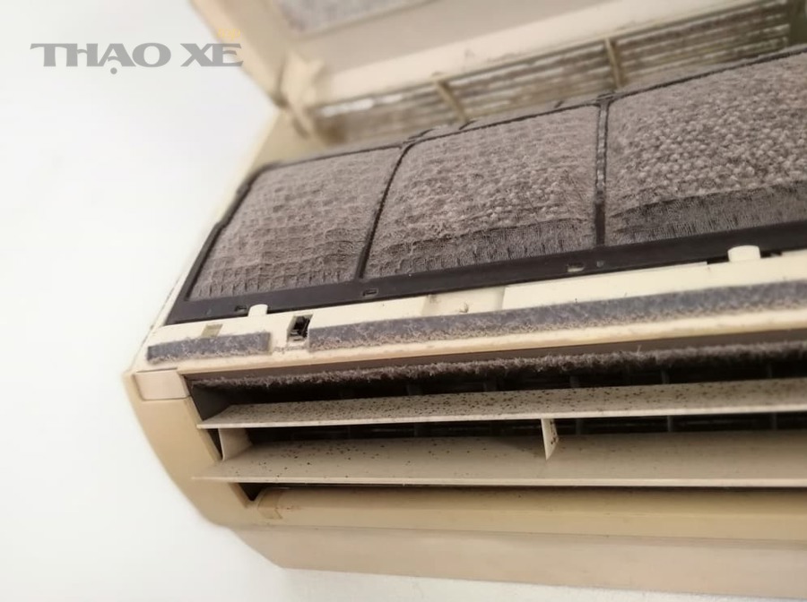 Mùi hôi từ điều hòa có luôn do nấm mốc dàn lạnh không?