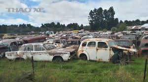 Rusting cars